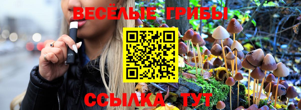 Псилоцибиновые грибы GOLDEN TEACHER Балтийск