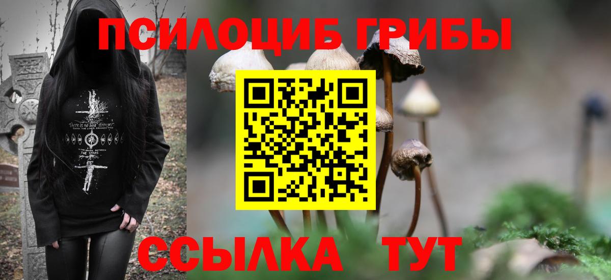 Балтийск  Галлюциногенные грибы мицелий  Вход с VPN 