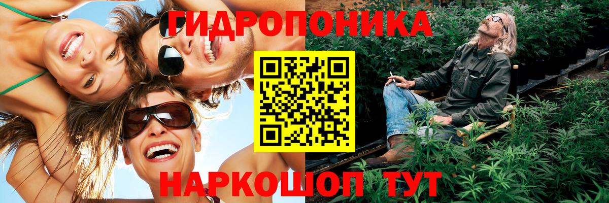 Конопля MAZAR  Вход с VPN  Марихуана AK-47  Конопля White Widow  Марихуана тримм  Балтийск 